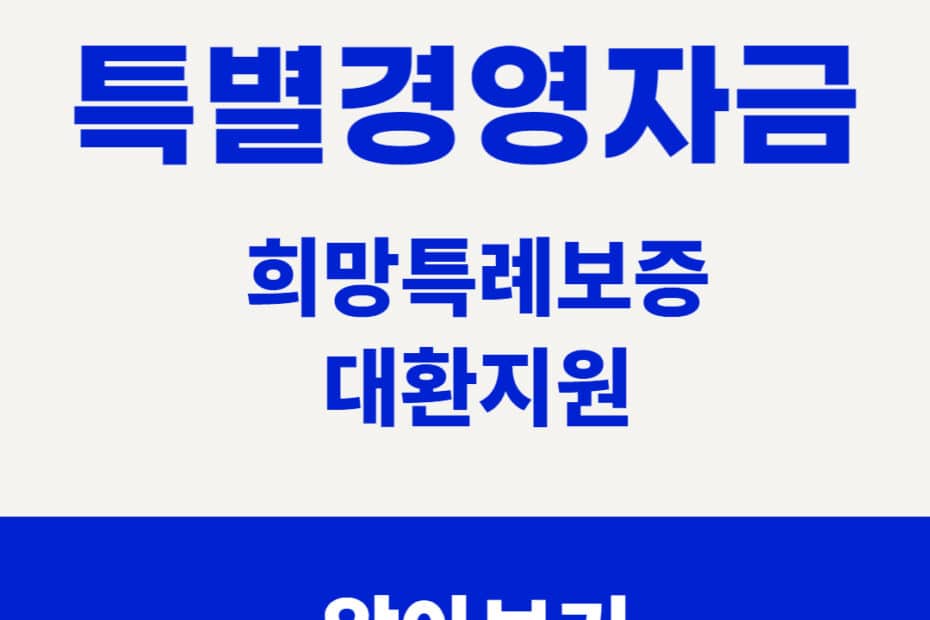 소상공인 대환자금