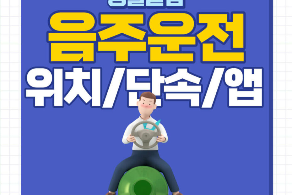 음주단속 시간대