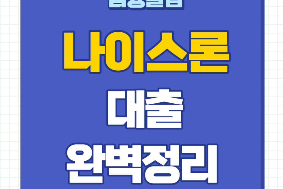 나이스론 대출