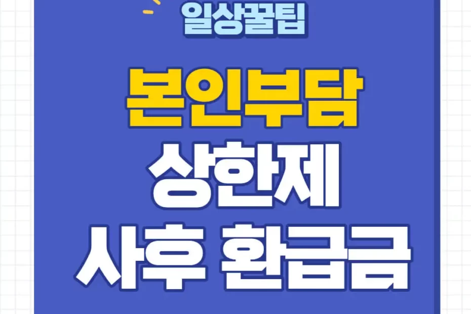 본인부담 상한제 사후환급금 신청