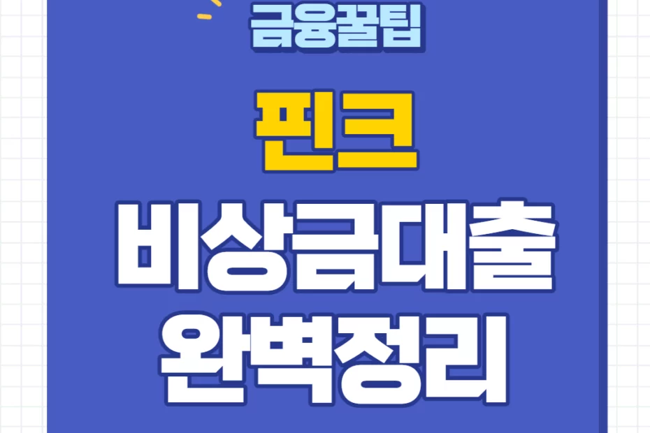 핀크 비상금대출 신청