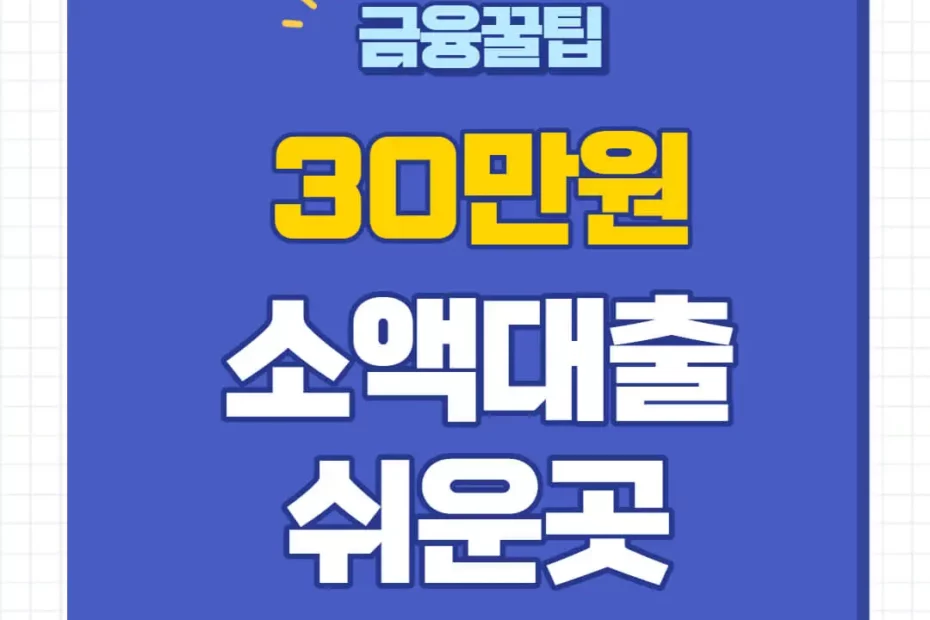 30만원 소액대출