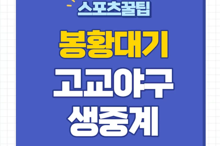 봉황대기 전국 고교야구대회 중계