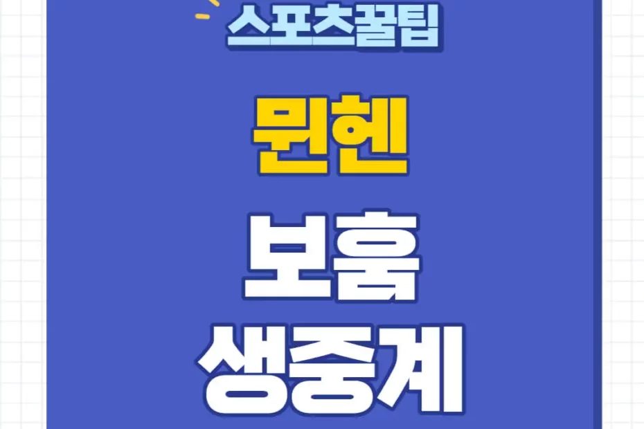 뮌헨 보훔 중계