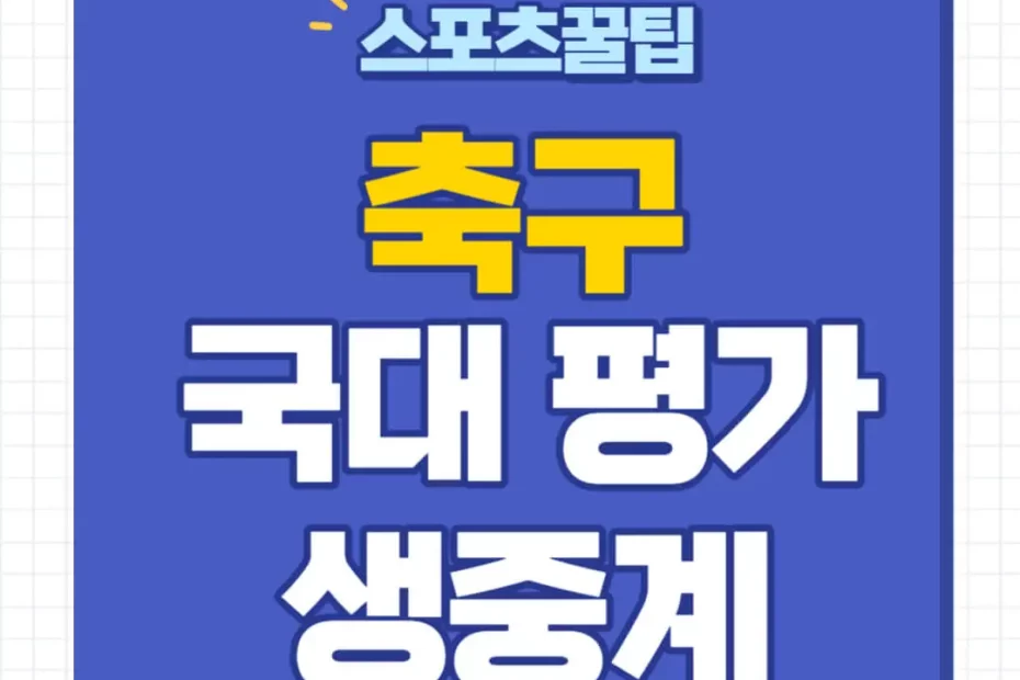 축구 국가대표 평가전 중계