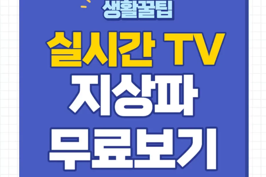 실시간 TV